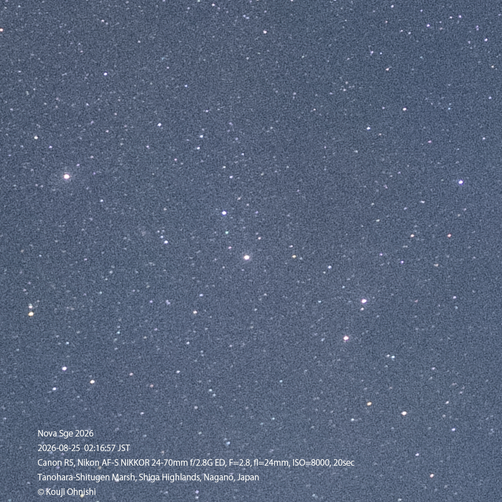 2026-08-25_02-16-57_EOS R5_Ohnishi_9511_NoveSge2026.jpg